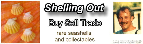 the Seashell Exchange